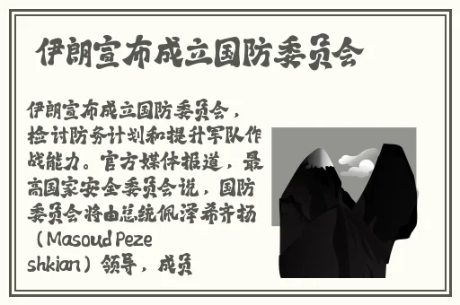 99国产精品99久久久久久